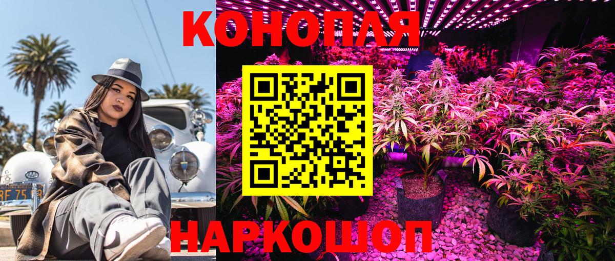 Бошки марихуана сатива Заринск